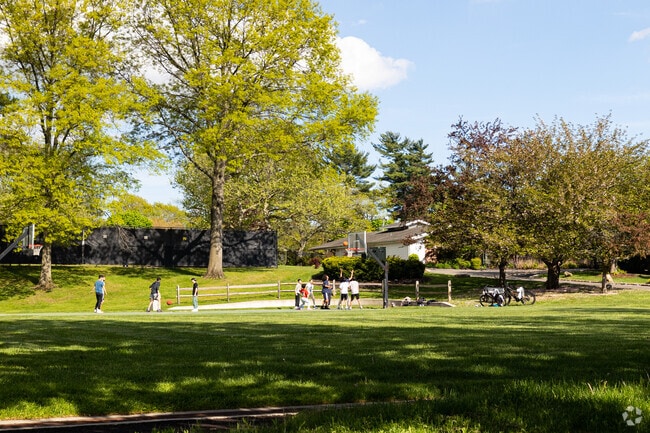 Basketball is a frequent pastime at Village Park in Lake Success.