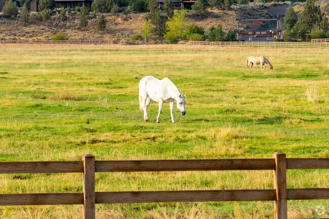 Catch the beauty of Old Farm District. From horses to green space, you won't be disappointed.