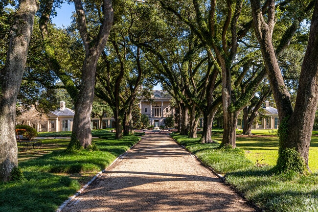 The Longue Vue House and Gardens is located along the upper edge of Hollygrove’s boundary.