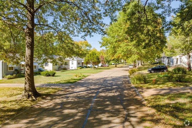 Hanley Hills residential streets are lined with large trees.