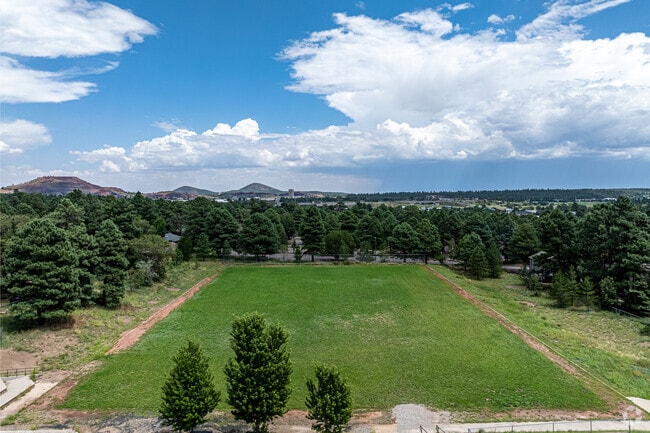 Students love the large grass athletic field at Thomas Elementary School in Flagstaff.