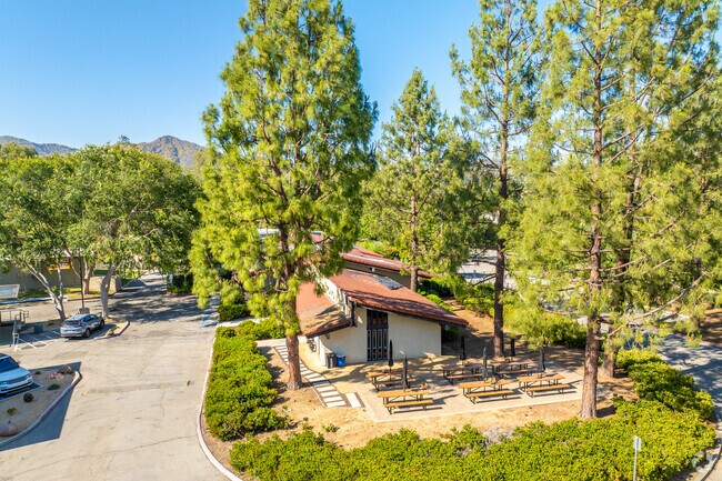 Oak View High School is rated a B- on Niche.