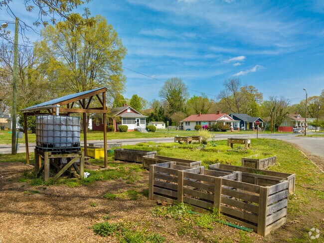 Stockton Community Garden, or also known as the “cosmic corner,” offers more than just a communal garden space - it offers a space to create community