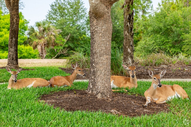 Beautiful local wildlife can be spotted throughout The Quarry.