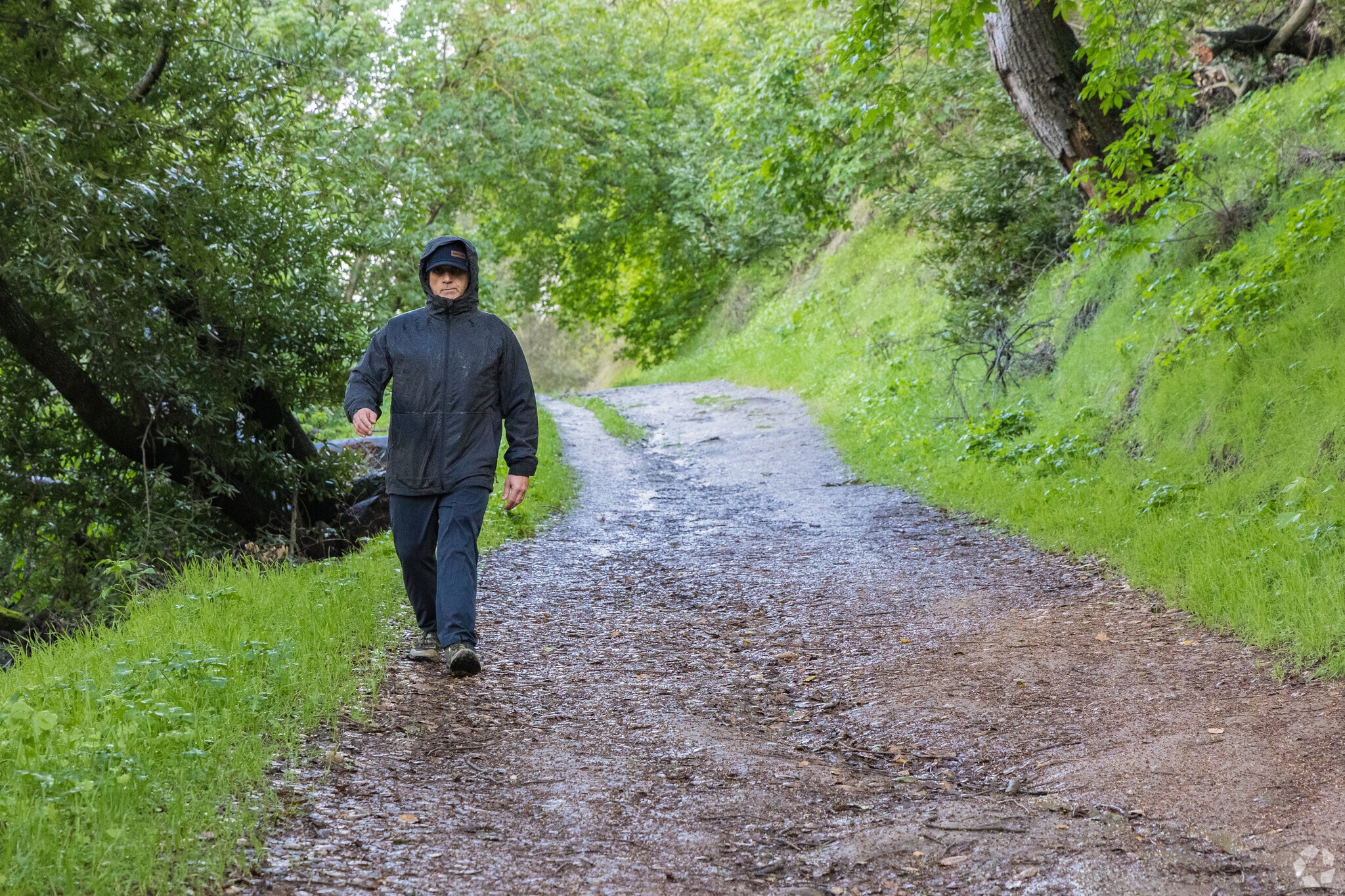 Exploring nature Man hiking on Mt. Wanda in Alhambra Hills.