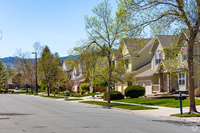 Rows of modern traditional homes sit on tree-lined streets with mountain views in the Meadows at Westwood neighborhood.