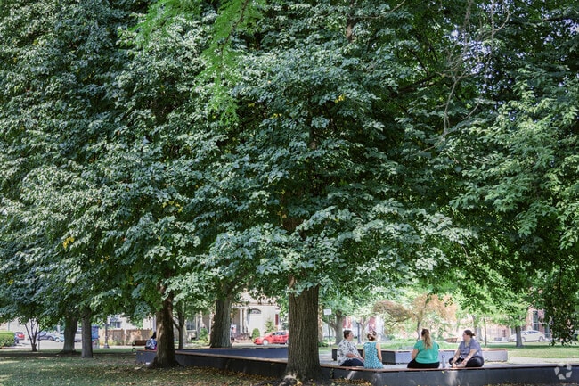 Dewitt Park offers a sanctuary of green amongst the bustle of Downtown Ithaca.