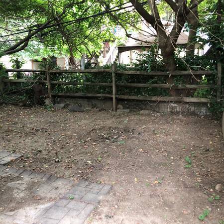 Rear yard 2