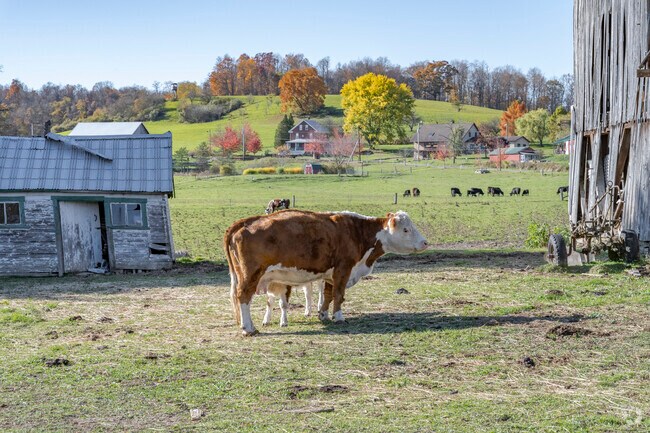 Stunning farmland fills in the land between the towns of Allegheny.