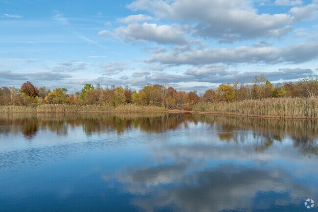 Falls Township Park has the largest lake in Elderberry Pond, its open to sailing and fishing.
