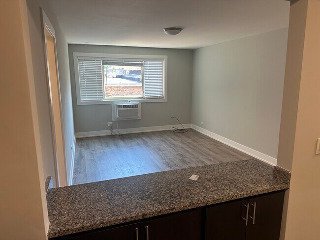 542 W Surf St unit 519, Chicago, IL 60657 - photo 6