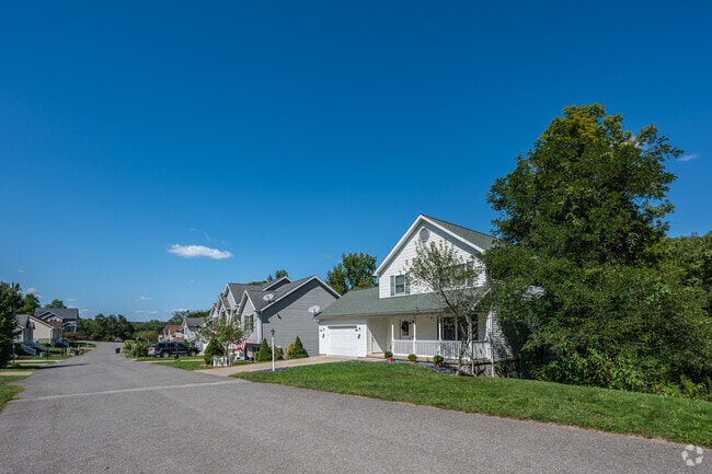 A row of more traditional homes sits on a rare level road in Cheat Lake.