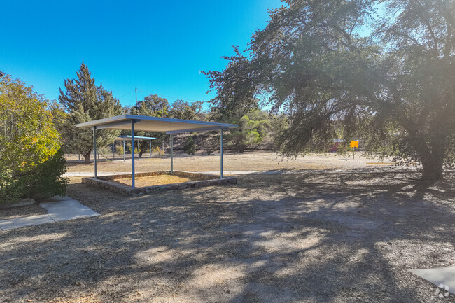 At Oracle Ridge, Oracle students embark on a journey of discovery and growth.