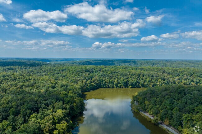 Wheeler lake is popular among boaters, kayakers, and all those that enjoy the great outdoors.