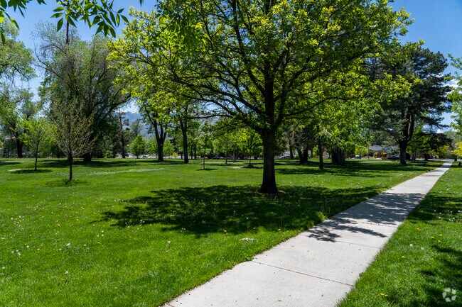 Whitaker Park is a great break from the Urban areas in West University.