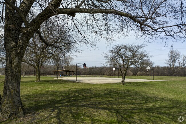 Get lost in the beauty of Dixmoor, IL in its green spaces and playfields