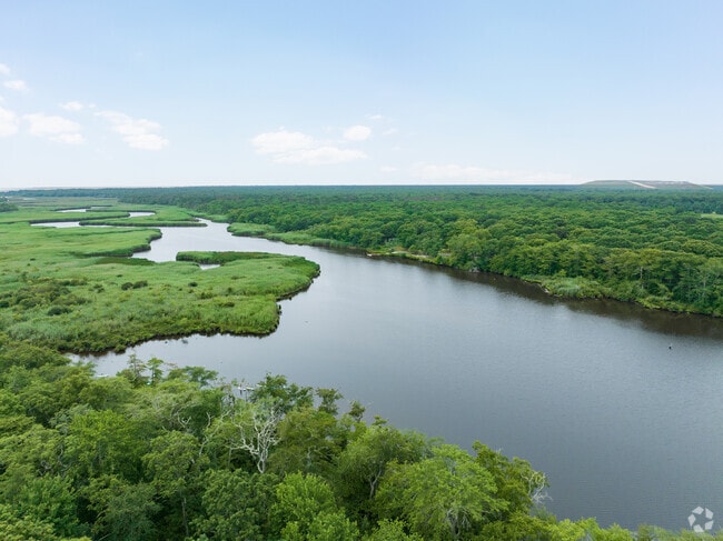 The Wertheim National Wildlife Refuge features walking trails and a river in Brookhaven.