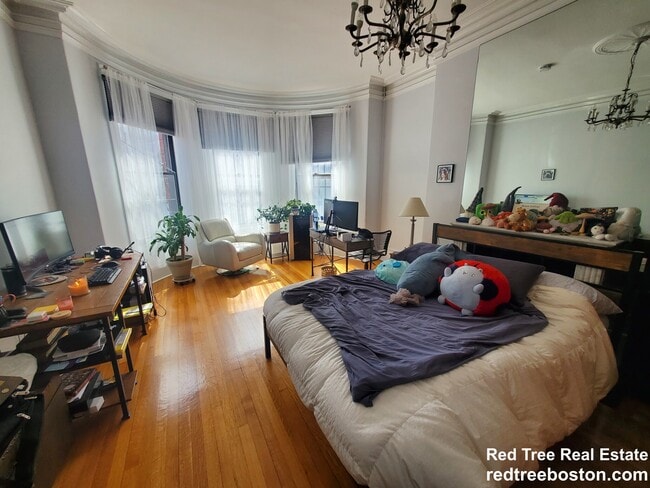 429 Marlborough St unit 2, Boston, MA 02115 - photo 5