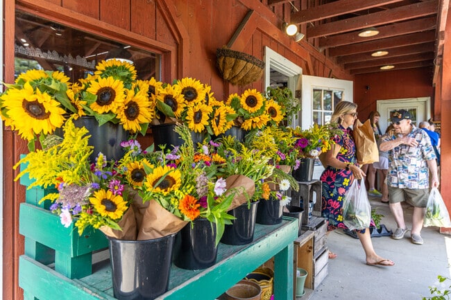 Newbury locals can head to The Spring Ledge Farm in nearby New London to peruse their wide variety of fresh produce, flowers, & more.