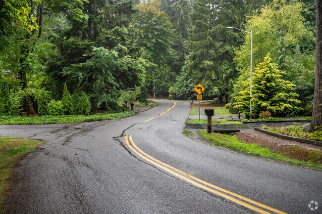 Wingate features winding roads and giant evergreen trees throughout the neighborhood.