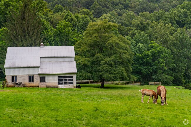 Horses roaming farmland are a common sight around Atglen, Pennsylvania.