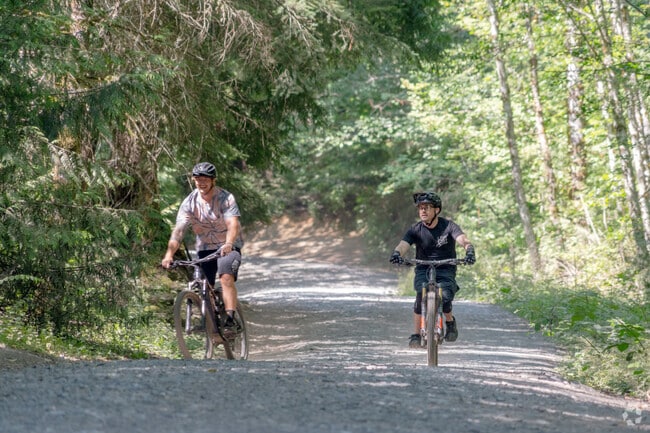 Bike enthusiasts love exploring Galbraith Mountain Trails near Samish.