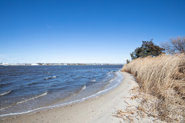 Connetquot River, one of many ways to enjoy the river views in Great River.