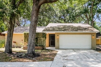 3222 Las Brisas Dr, Riverview, FL 33578