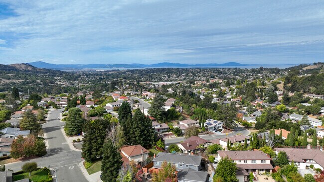 You can even see Mount Tam from the El Sobrante Hills neighborhood.