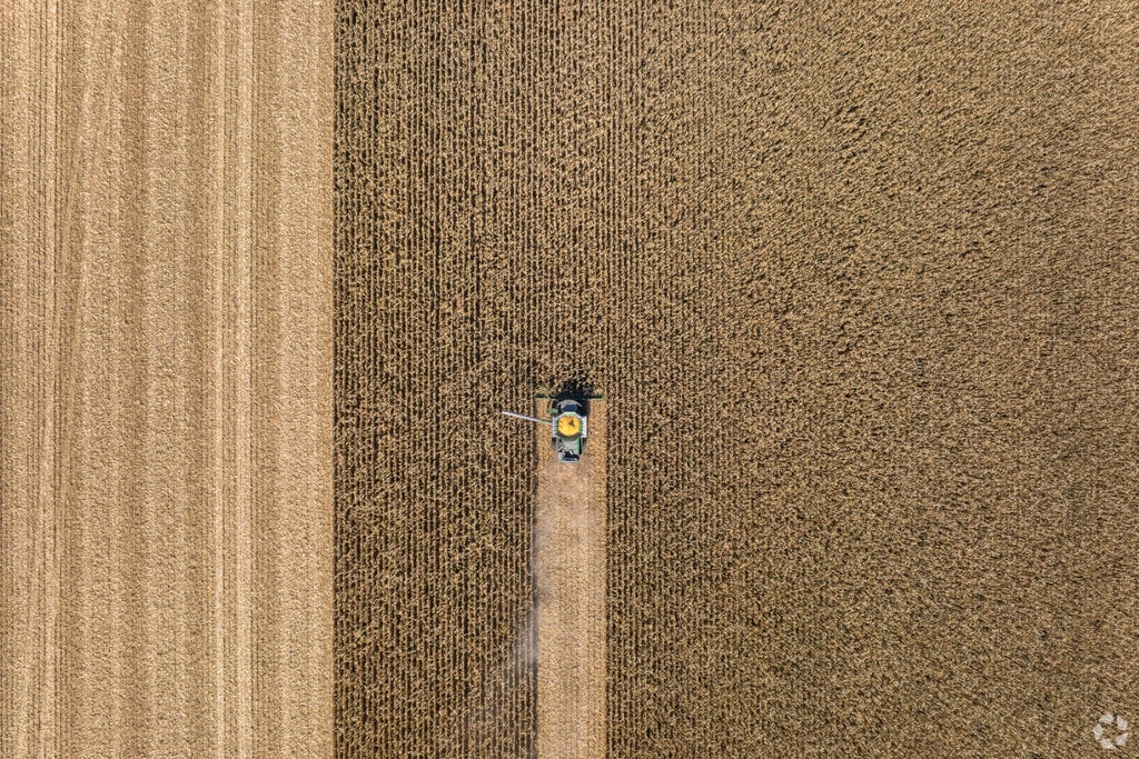 Kingston offers fertile farmland just minutes from the village center.