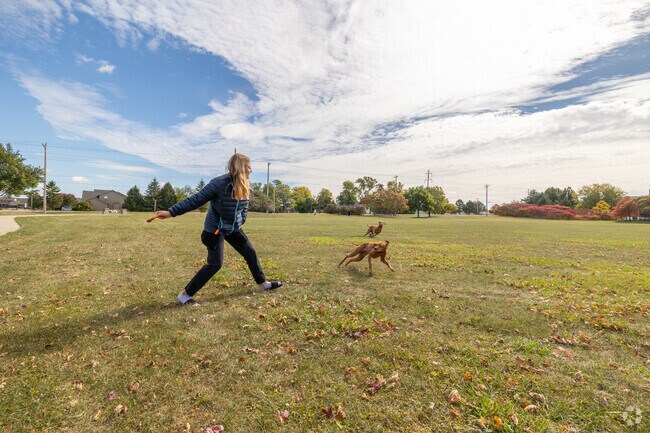 Walt Bittner Park near Hawthorne has a great field for playing fetch with your dog.