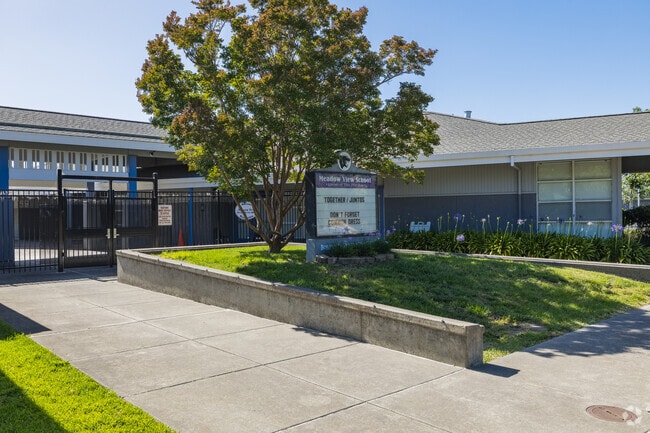 Engaged and curious, children at Meadow View Elementary School explore activities.