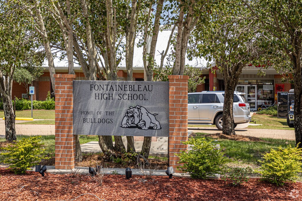 Fontainebleau High School provides students with the tools to function successfully in society.