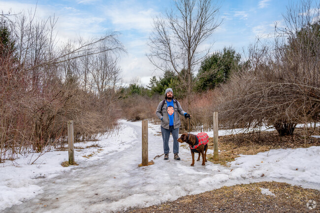 A person hikes along an icy path with their dog at the Bradford Putnam Wetland trail in Bennington.