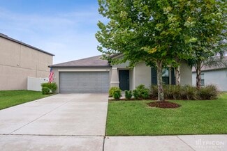 14107 Covert Green Place, Riverview, FL 33579