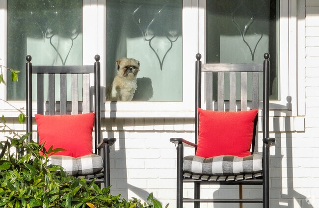 Sunset Hills is a quaint little neighborhood 4 miles from Downtown Raleigh, NC.