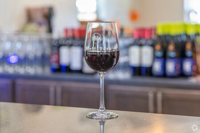 Beemarosa Vineyard & Winery, Belton's hidden gem for wine lovers.