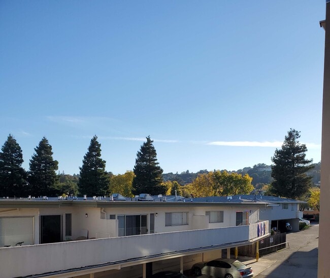 2010 Trousdale Dr, Burlingame, CA 94010 - photo 4