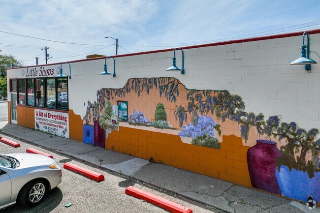 The Little Shops on Rio Grande Boulevard are home to many local vendors.
