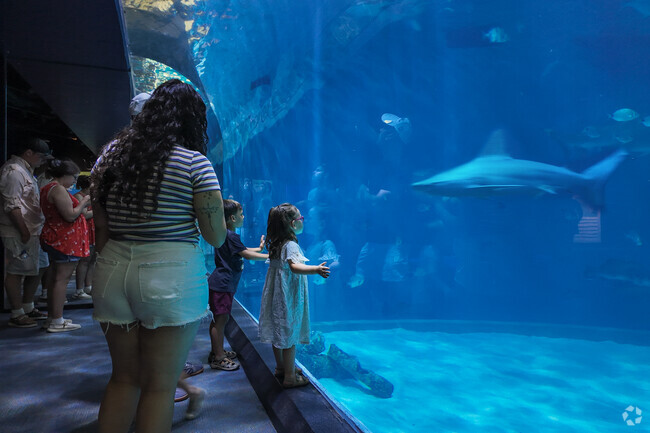 The North Carolina Aquarium is located just a short drive across the Manns Harbor Bridge.