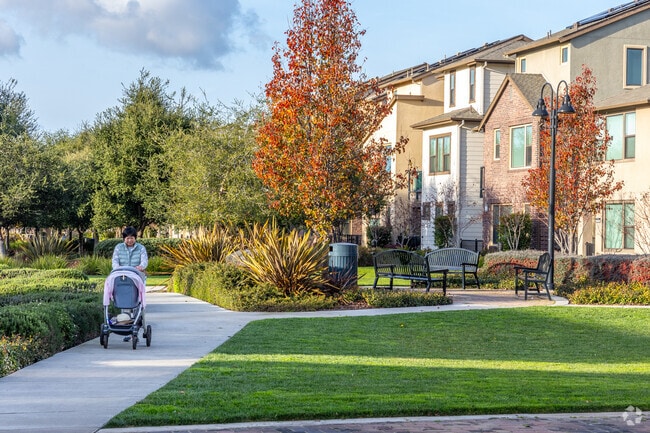 Enjoy your walk in a beautiful environment in the Burbank neighborhood.