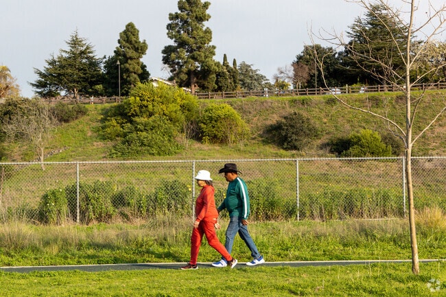 Norman O. Houston Park's walking trails circle the park and over the hills.
View Park