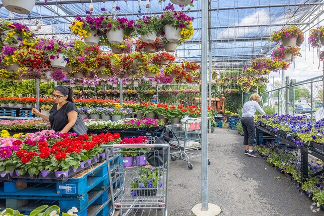 Azar Supermarket sells groceries and plants to Northeast Bethlehem locals.