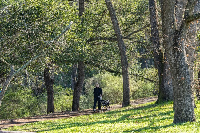 Brookwood Park offers a peaceful escape with lush greenery and open spaces in the Reliez Valley Area.