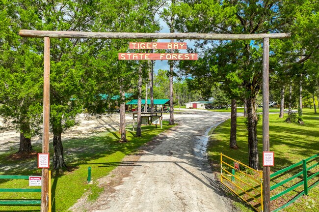 Greater Daytona prides itseld on being the home of Tiger Bay State Forest.