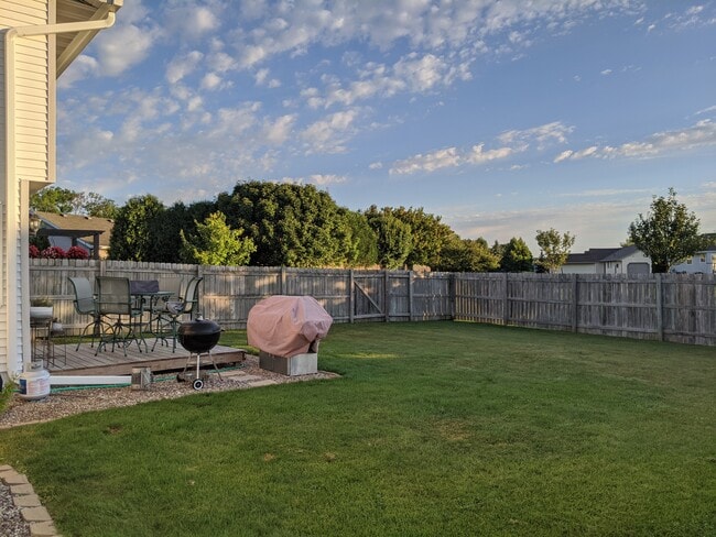 Back yard
