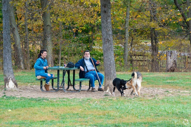 The neighborhood parks in Xenia allow space for residents and their dogs to spread out and play.