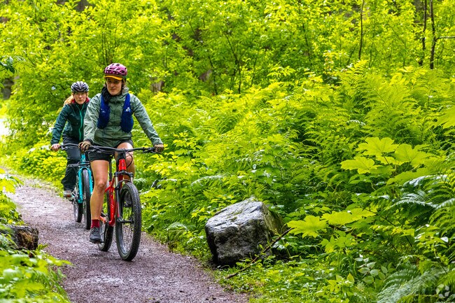 The Treadwell Ditch Trail is a popular trail for locals in West Juneau to bike during the day.