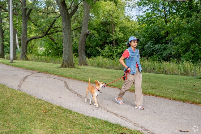 Lincoln Creek has many great trails, perfect to walk your dog.