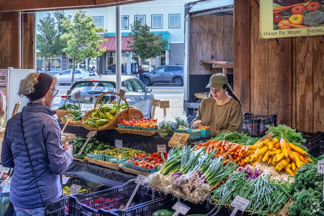 Pick up fresh veggies at The Olympia Farmers Market near Northwest.